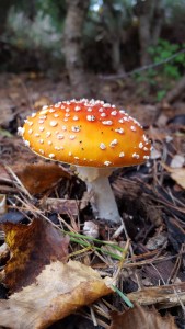 20171001_150729_resized_1